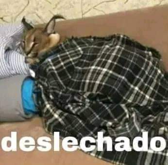 Sissy_beta_slut's tweet photo. Los vergones que entran a mi md: https://t.co/9snyVJILHQ