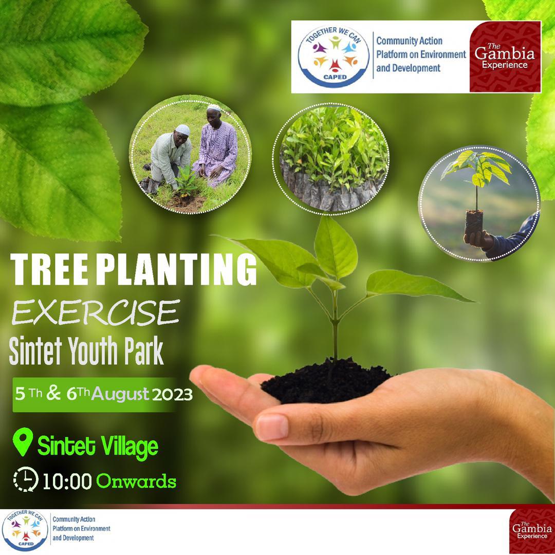 caped_gambia's tweet photo. It is summer time again. Our team is on the move growing indegenious and highly endangered tree species.
Join us this weekend for a tree planting event funded and supported by @GambiaXperience
#ClimateActionSDG13
#SintetTreePlanting
#CAPED https://t.co/A2mwXw3Jiq