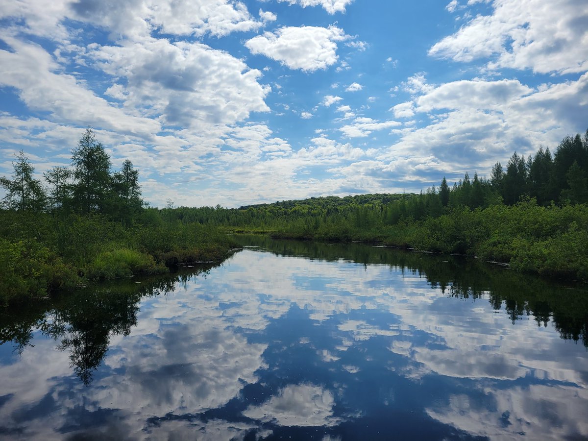KayakMike007's tweet photo. All American Kayak Series Minocqua RoadRunner Event
July 28,29 2023

@_FishHog_ https://t.co/SEmRSj43Q2