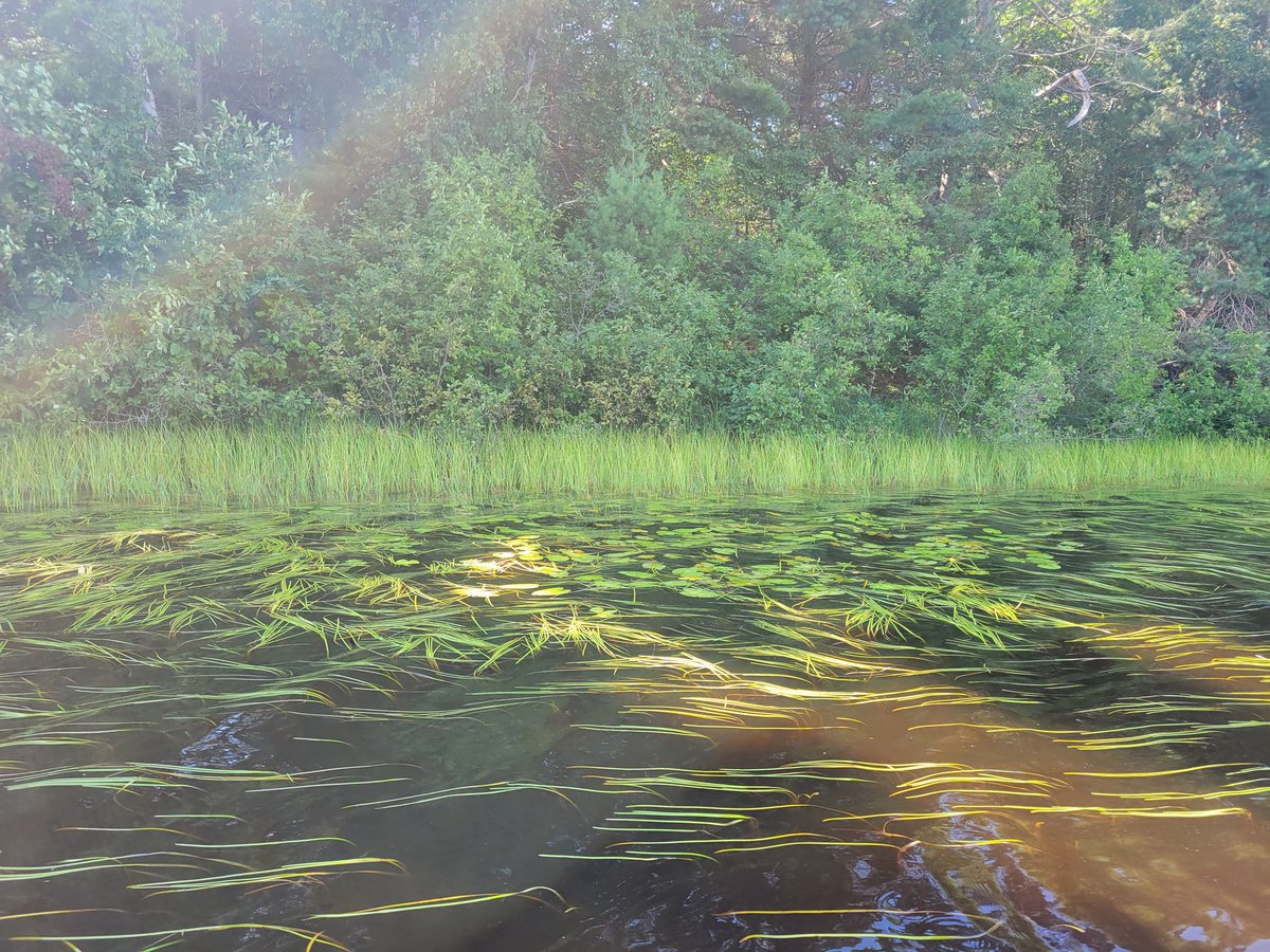 KayakMike007's tweet photo. All American Kayak Series Minocqua RoadRunner Event
July 28,29 2023

@_FishHog_ https://t.co/SEmRSj43Q2