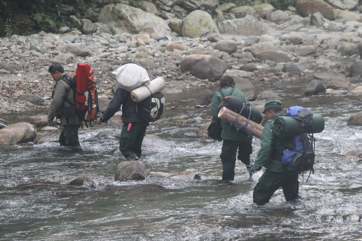 This World Ranger Day, we bring to you the story of daily challenges and risk rangers face while on duty. The article by @KuenselOnline reflects upon forestry department's journey it started from a tent in 1950s to winning international recognition. Link: kuenselonline.com/remembering-bh…