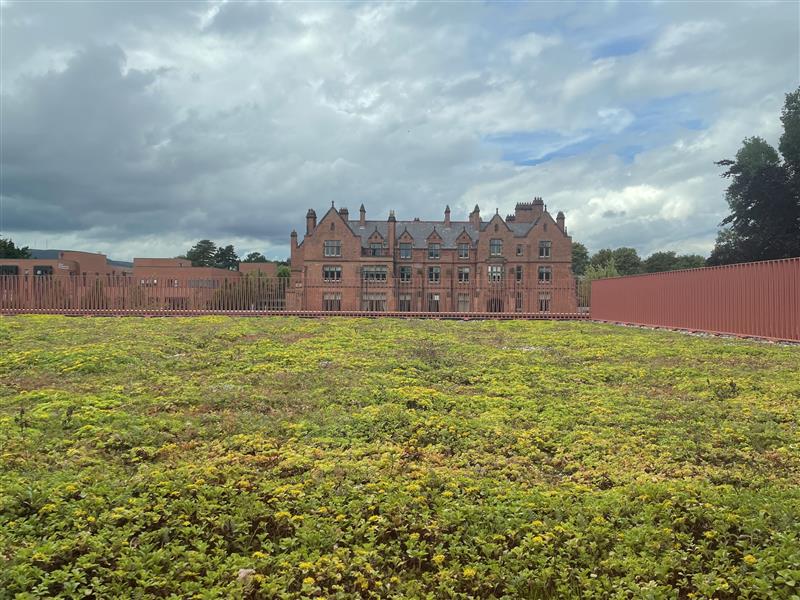 Green at Queen's tweet media