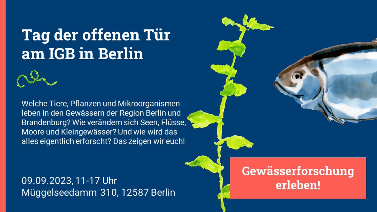 Wir laden zum Tag der offenen Tür an den #Müggelsee ein und informieren über Tiere und Pflanzen im #Süßwasser, #Aquakultur, #Grundwasser, #Kleingewässer, #Oder, #Spree u.v.m.:
🗓️ 09.09.2023
🕚 11-17 Uhr
🗺️ Müggelseedamm 310, #Berlin
Programm: igb-berlin.de/veranstaltung/…
