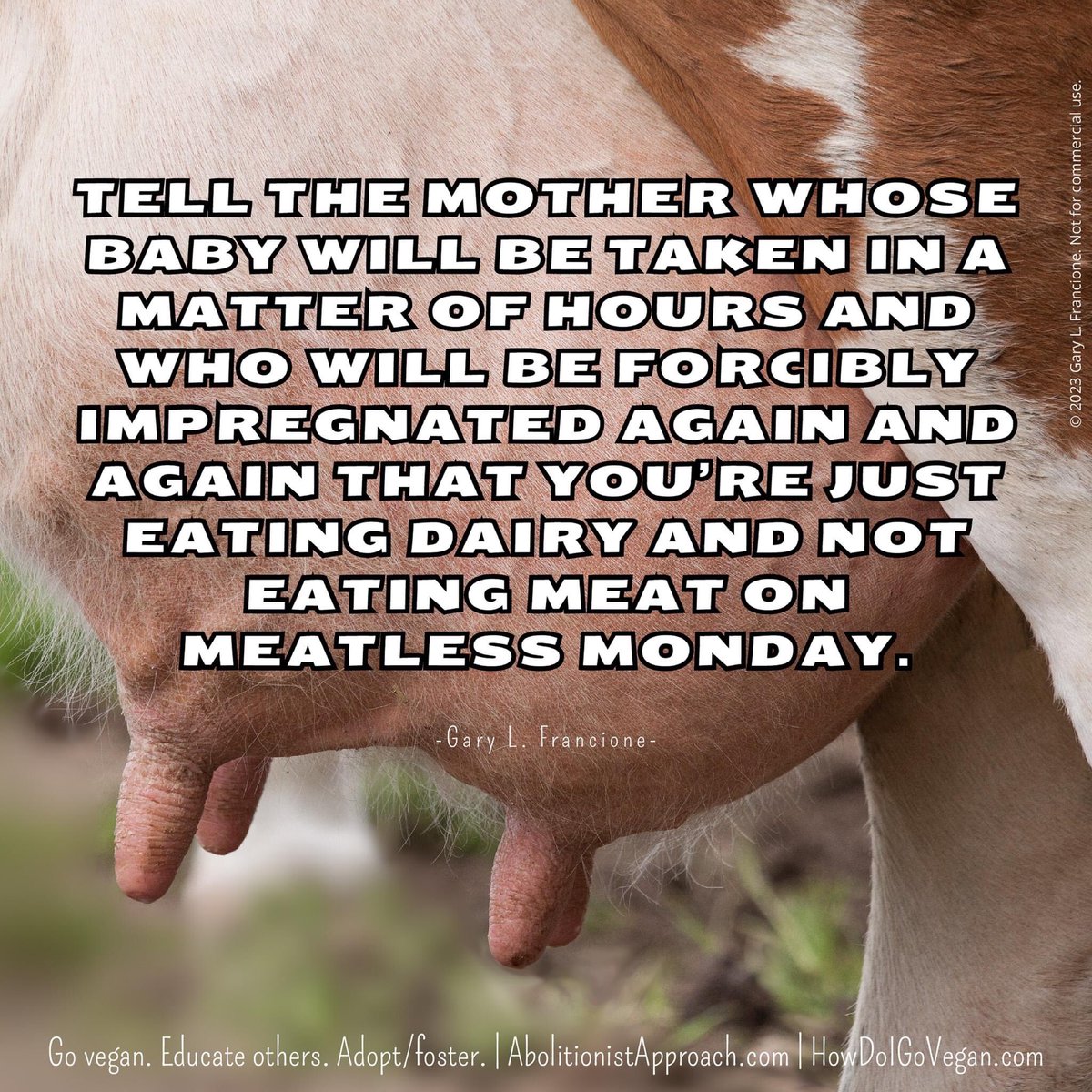 garylfrancione's tweet image. It's Monday.
Vegan Monday.
Vegan Every Day.
Vegan Life.
Any alternative is direct participation in animal exploitation.
AbolitionistApproach.com 
HowDoIGoVegan.com
