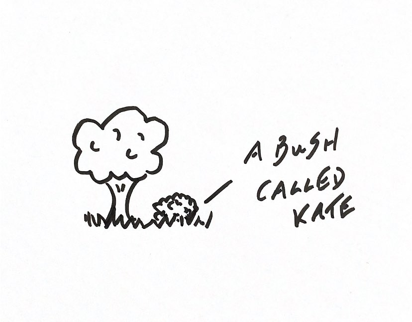 Happy Birthday Kate <a href="/katebushnews/">katebushnews.com</a>