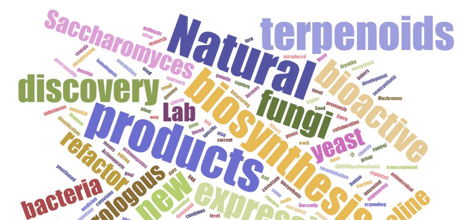 Fabrizio Alberti tweet media