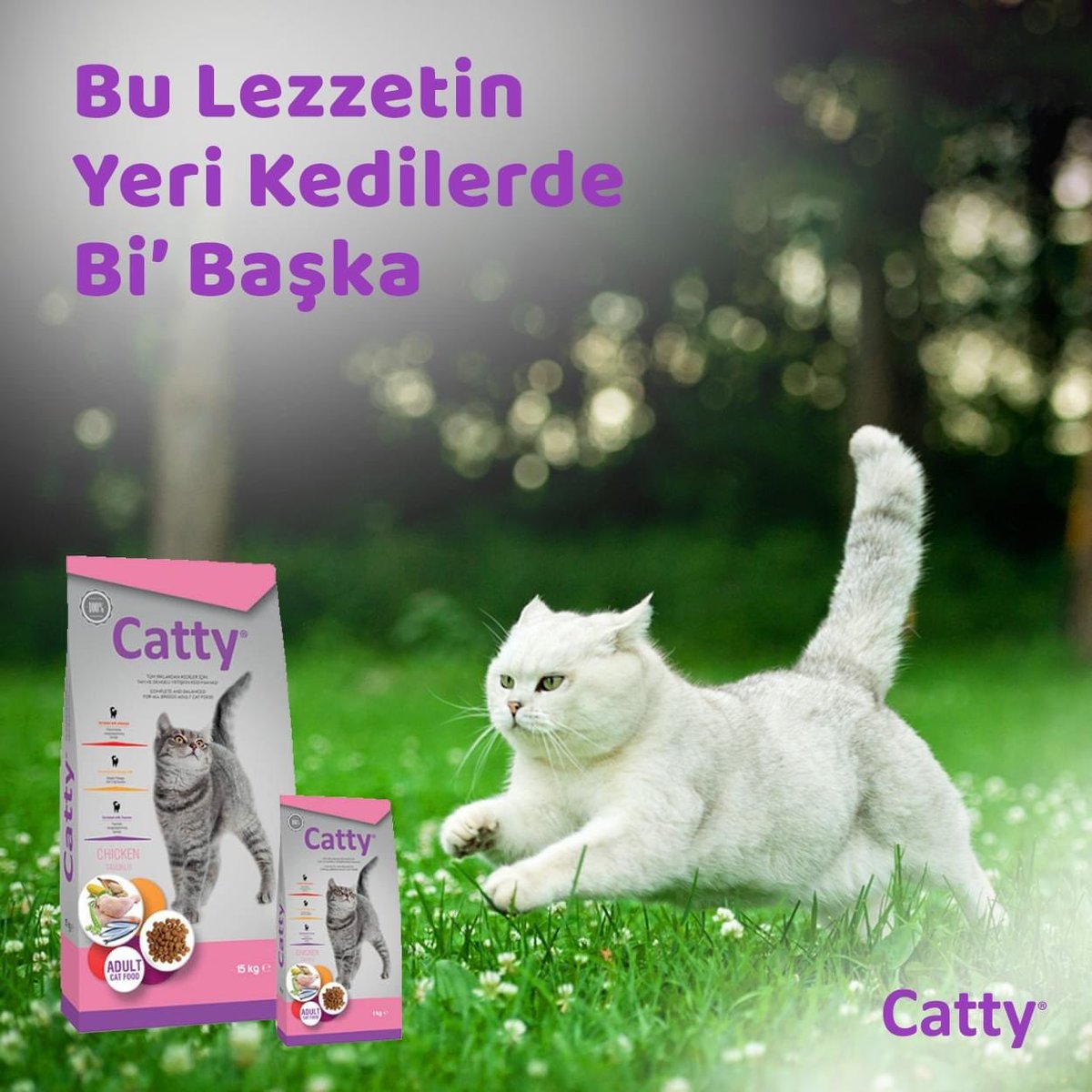 CattyCatFood's tweet photo. Catty’nin tavuk tadında tüm ırklar için ürettiği Yetişkin Kedi Maması kaliteli içeriği ile tavuk seven kedilerin sağlıklı ve dengeli yaşamına destek olurken yaşam kalitesini ve süresini de arttırıyor.
#Catty #Kedi #KediMaması #YavruKedi #YavruKediMaması #Cat #CatFood #CatLovers https://t.co/PVRFyxG5vB
