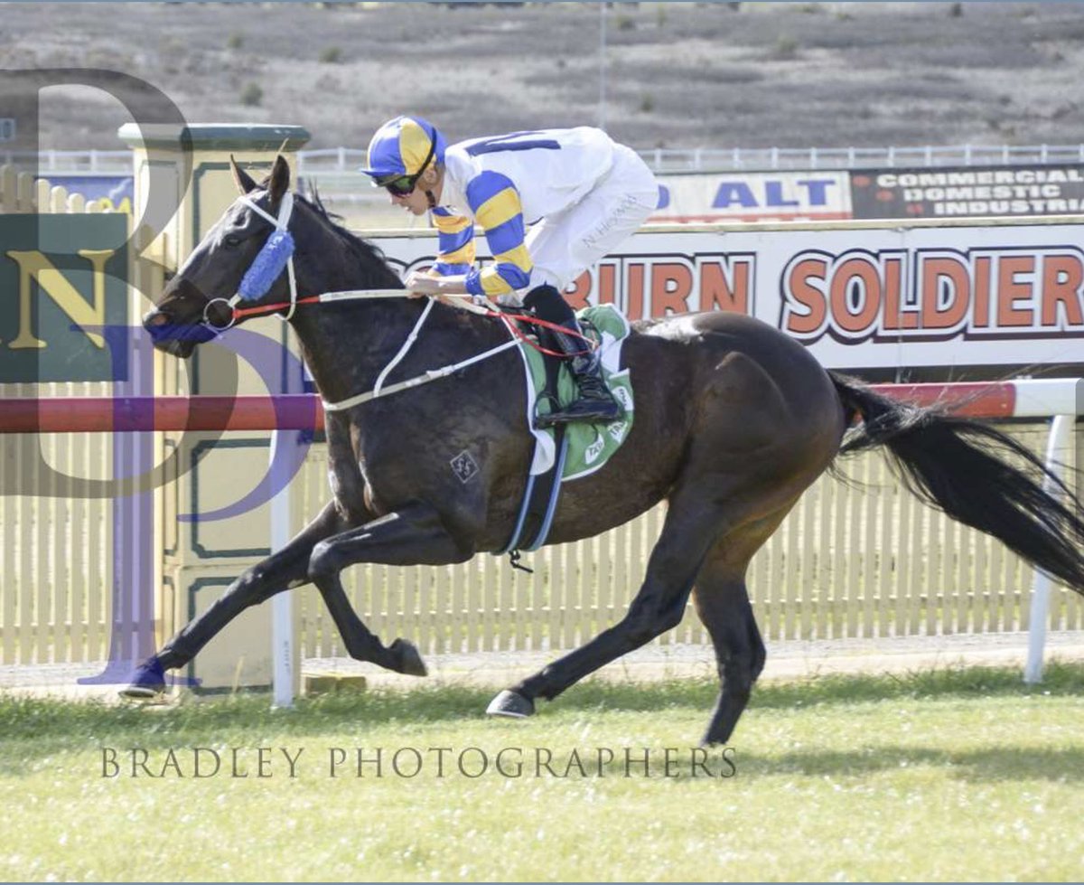 Scott Collings Racing tweet media
