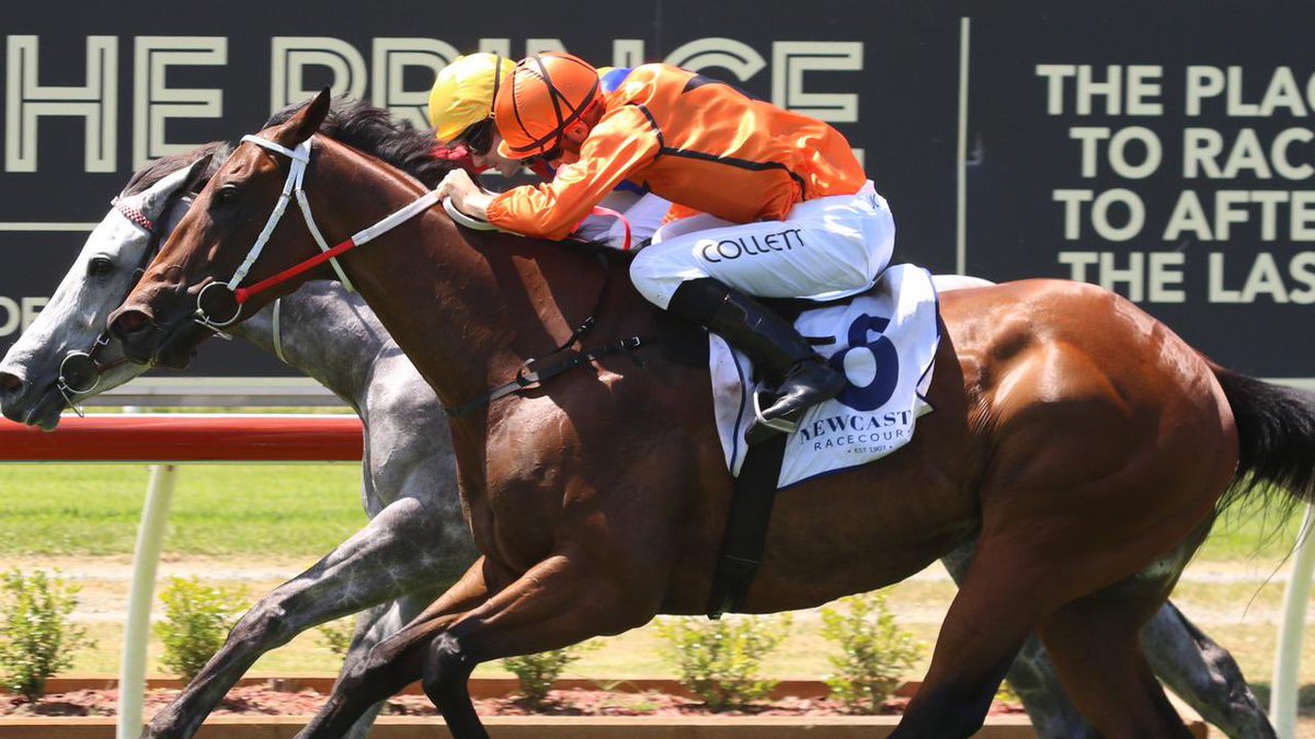Scott Collings Racing tweet media