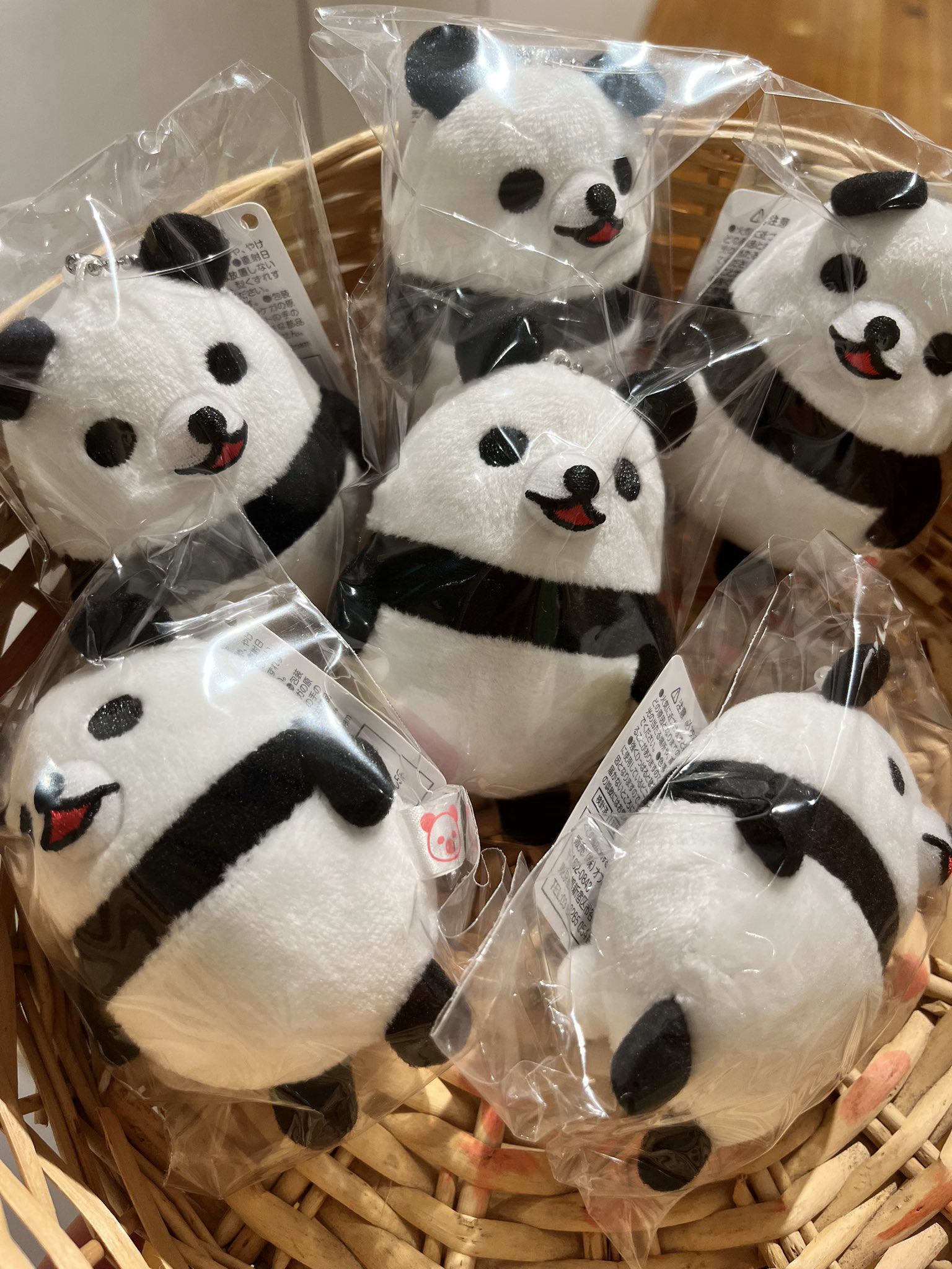 名作 ほぼ日曜日 /  X: على 渋谷PARCO8階 パンダ一般