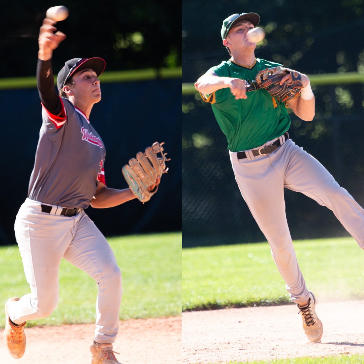 Hamptons Collegiate Baseball League tweet media