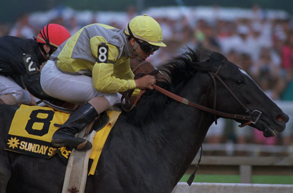 SS サンデーサイレンス 流星 ストラップ 大種牡馬 SS産駒 SS系 21年前の今日8月19日は大種牡馬 #サンデーサイレンス の命日。 日本