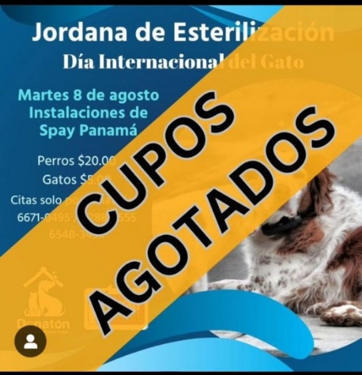 spaypanama's tweet photo. En menos de dos horas se dieron 200 cupos #donatonpty https://t.co/MuRPLK4Uvh