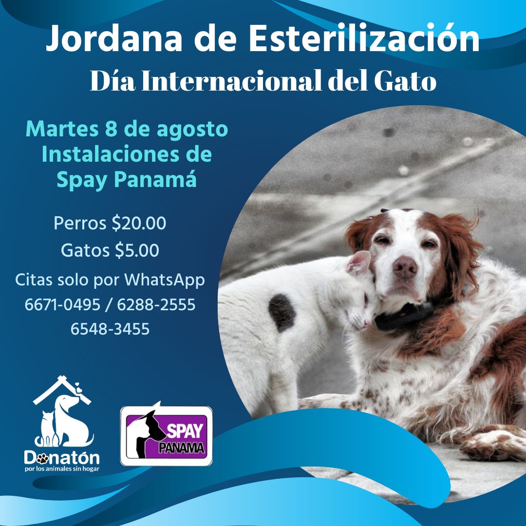 spaypanama's tweet photo. En menos de dos horas se dieron 200 cupos #donatonpty https://t.co/MuRPLK4Uvh