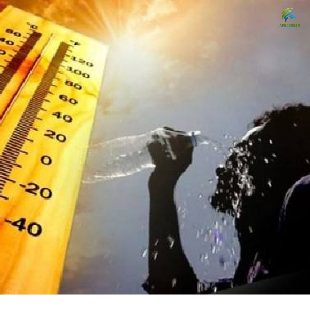Afrogreen_'s tweet photo. July is poised to be one of the hottest month in history.The US has recorded over 100°C this month.Hundreds of people die from extreme heat in the US every year.The Biden administration has set aside $7 million for improving weather forecasts... https://t.co/cPolrWjxuJ