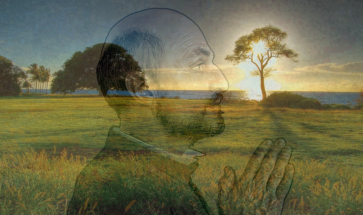 El agradecimiento es LA actitud. No es una más: cuando asumimos que somos personas creadas desde el amor y para el amor, recibimos la invitación a no desistir del agradecimiento. infosj.es/palabras-del-p…