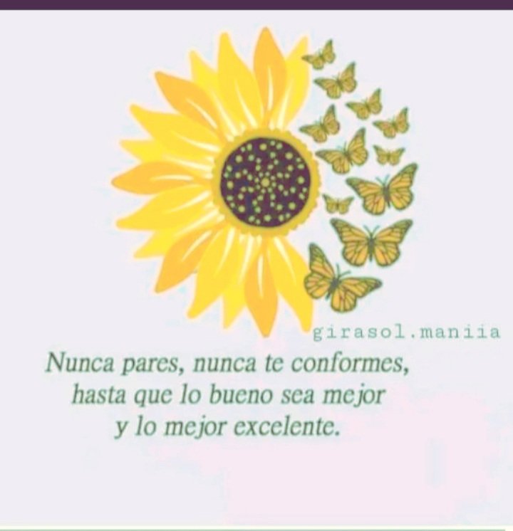 Lore81517647's tweet photo. Nunca !! https://t.co/hS4WNQqtHx