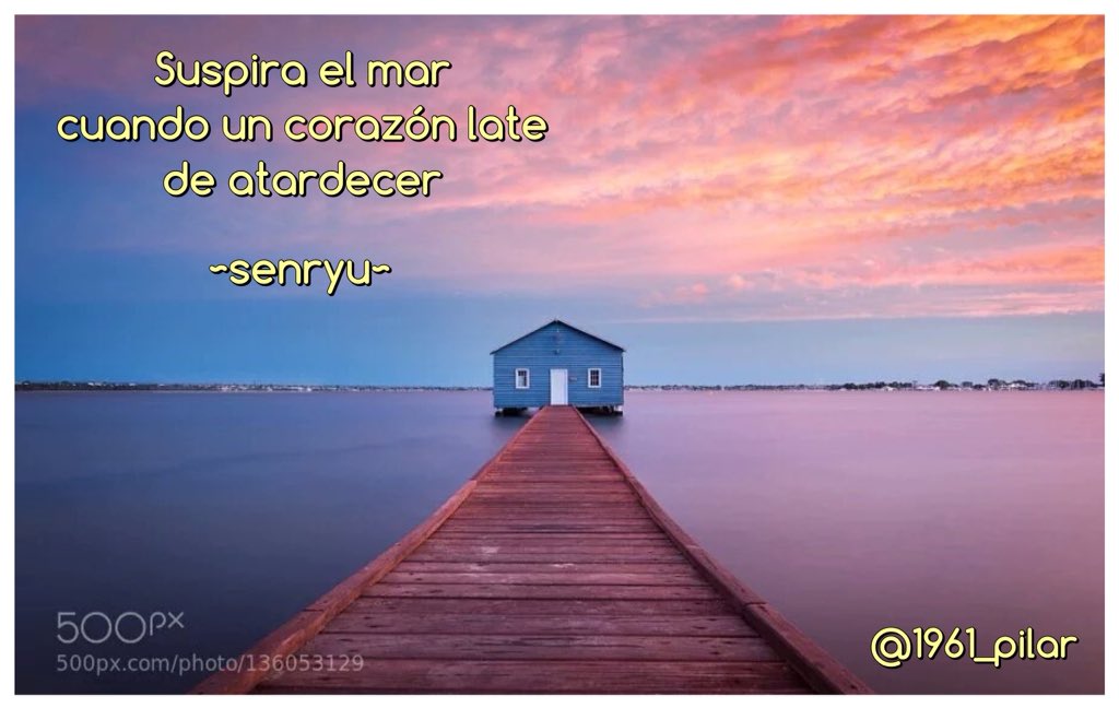 1961_pilar's tweet photo. Un nuevo amanecer ¡Buenos días!

Suspira el mar...

~senryu~

#LYF15  #VAFlorDePiel https://t.co/Wlge0nbNAk