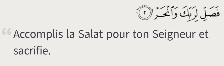 lunettesou ⵣ tweet media