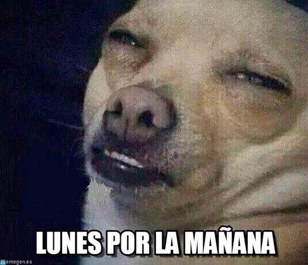 JoinQuestie's tweet photo. Y así empezamos después de un #FINDEDEVICIO
Like si estás igual, RT si estás peor y saludame aunque sea con un "HOLA" https://t.co/6mReIVxk2F