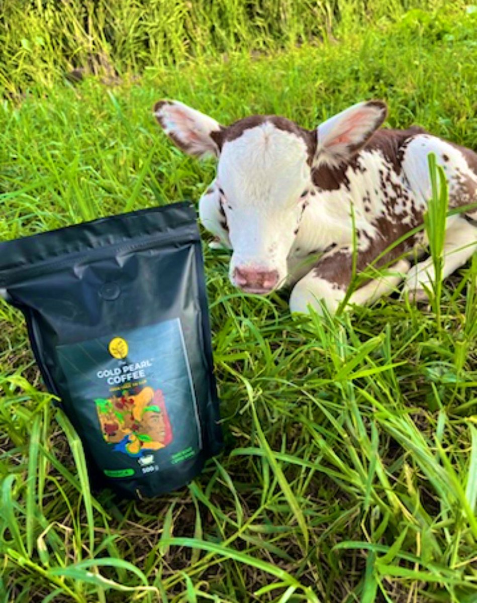 GoldPearlCoffe1's tweet photo. It’s a new week. Don’t forget to grab a cup of coffee to keep you active throughout the day. You can also order from us ☕️🥰 https://t.co/gbNYt7caIS