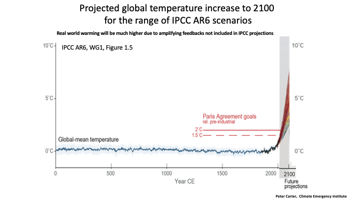 Peter D Carter tweet media