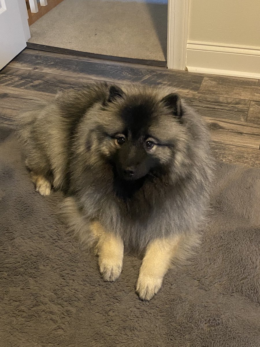 WebSlingPI's tweet image. // pubby :)