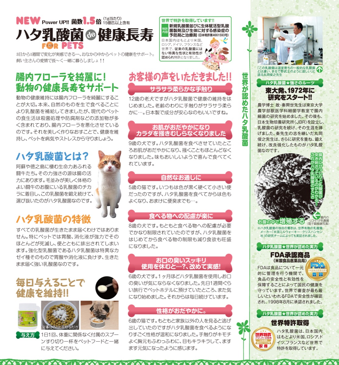 youthmind111's tweet photo. 💚ハタ乳酸菌 FOR PETS (犬・猫用)de 健康長寿
💚NEW Power UP! 🆙🆙菌数 1.5 倍❣️❣️❣️
#ハタ乳酸菌 #ユースマインド #youthmind
https://t.co/yQTwepUGCG💮 https://t.co/mjBSBg2gIS