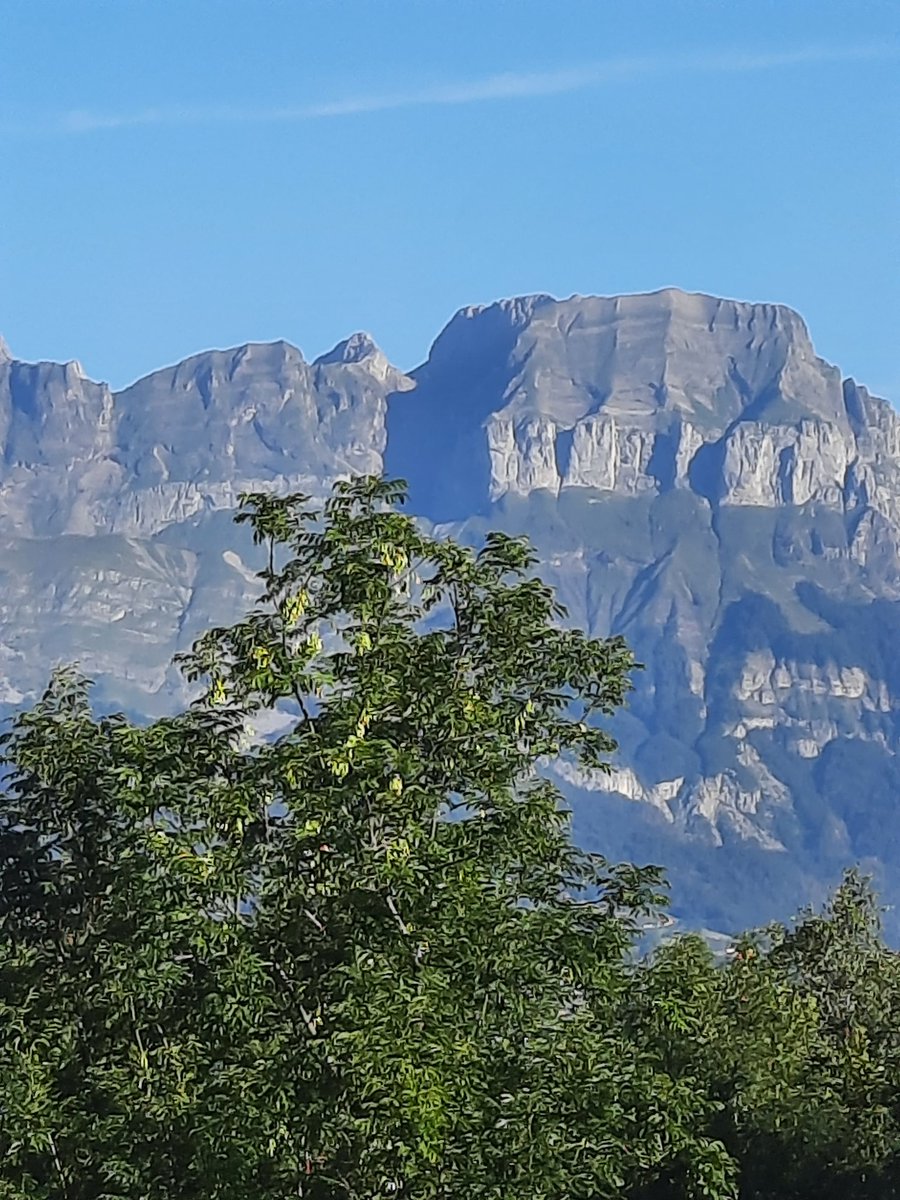 Calypso9904's tweet photo. Soleil ce matin !! Je partage mais je ne suis pas aussi matinale que vous Pascal !! Belle journée à vous et à Ozzy, et à tous !! https://t.co/qzz13f4OBO