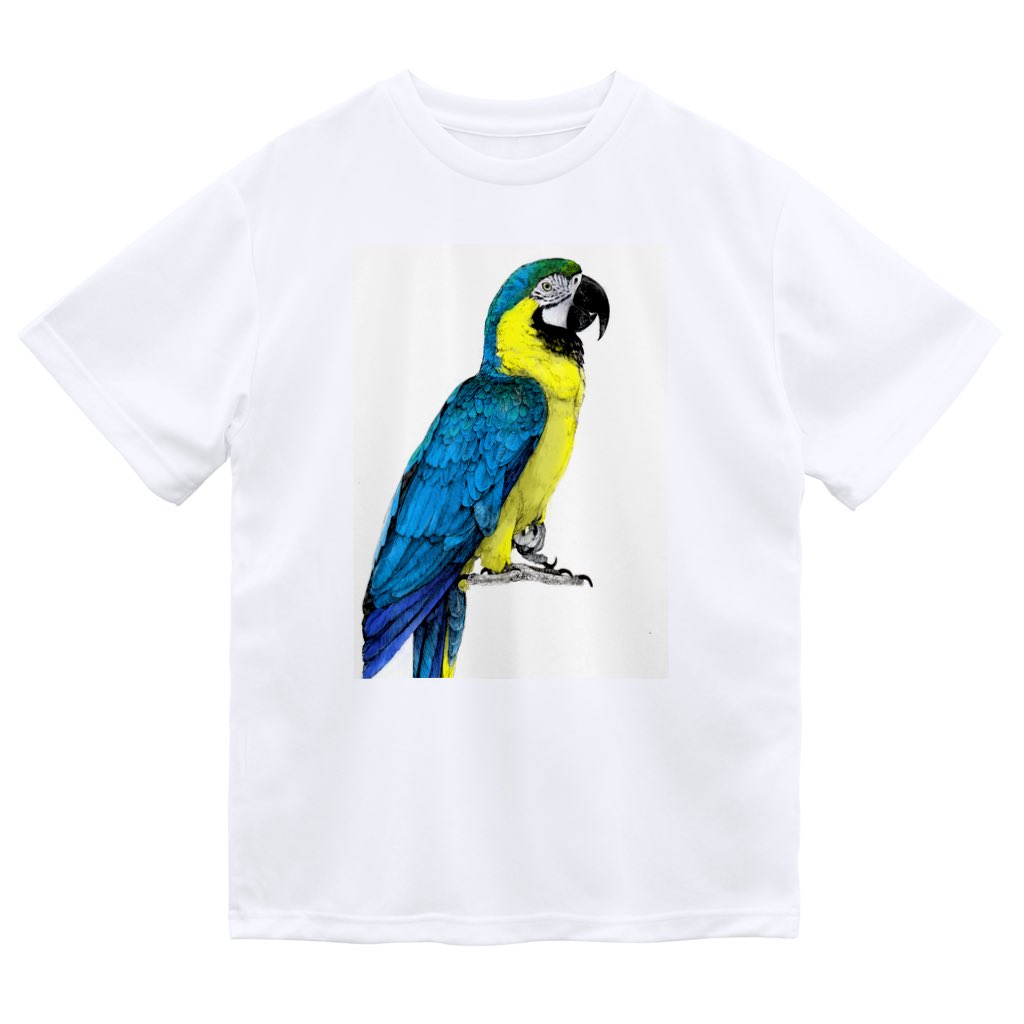 no humans simple background white background solo shirt bird red eyes  illustration images