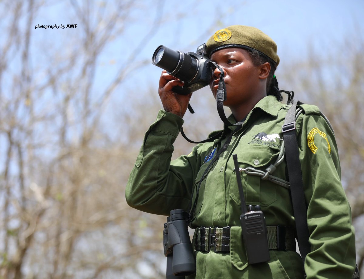AWF_Official's tweet photo. Today on #WorldRangerDay, we recognize and celebrate the unsung heroes of nature - the brave men and women who dedicate their lives to ensuring wildlife and wild lands thrive while keeping people at the center of conservation. https://t.co/FjrZbpisLn