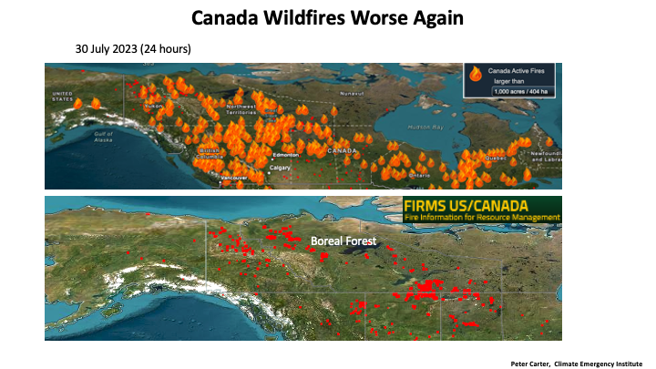 Peter D Carter tweet media