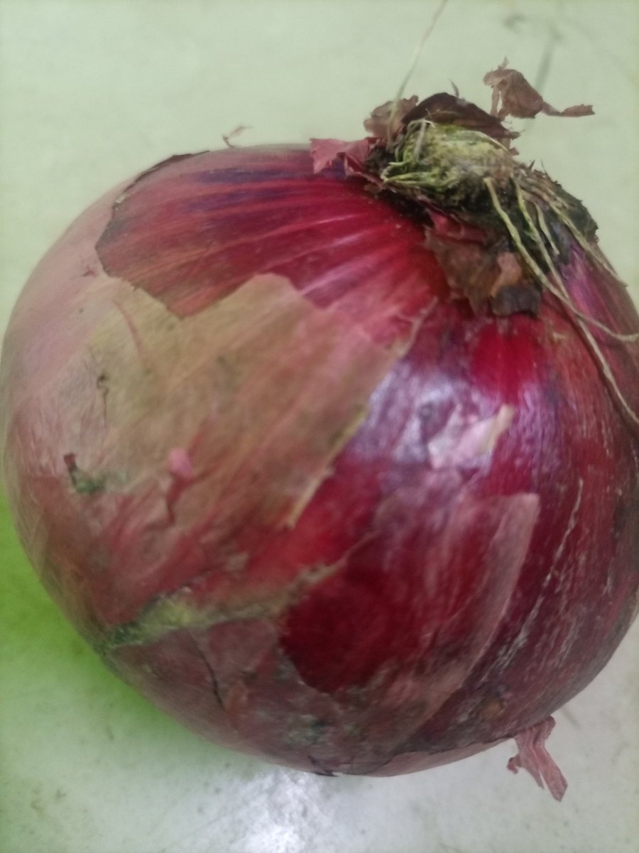 Quality Onions  available at wholesale in your nearest ukulima Kisasa Stores.
or talk to us via 0714 - 259 - 338