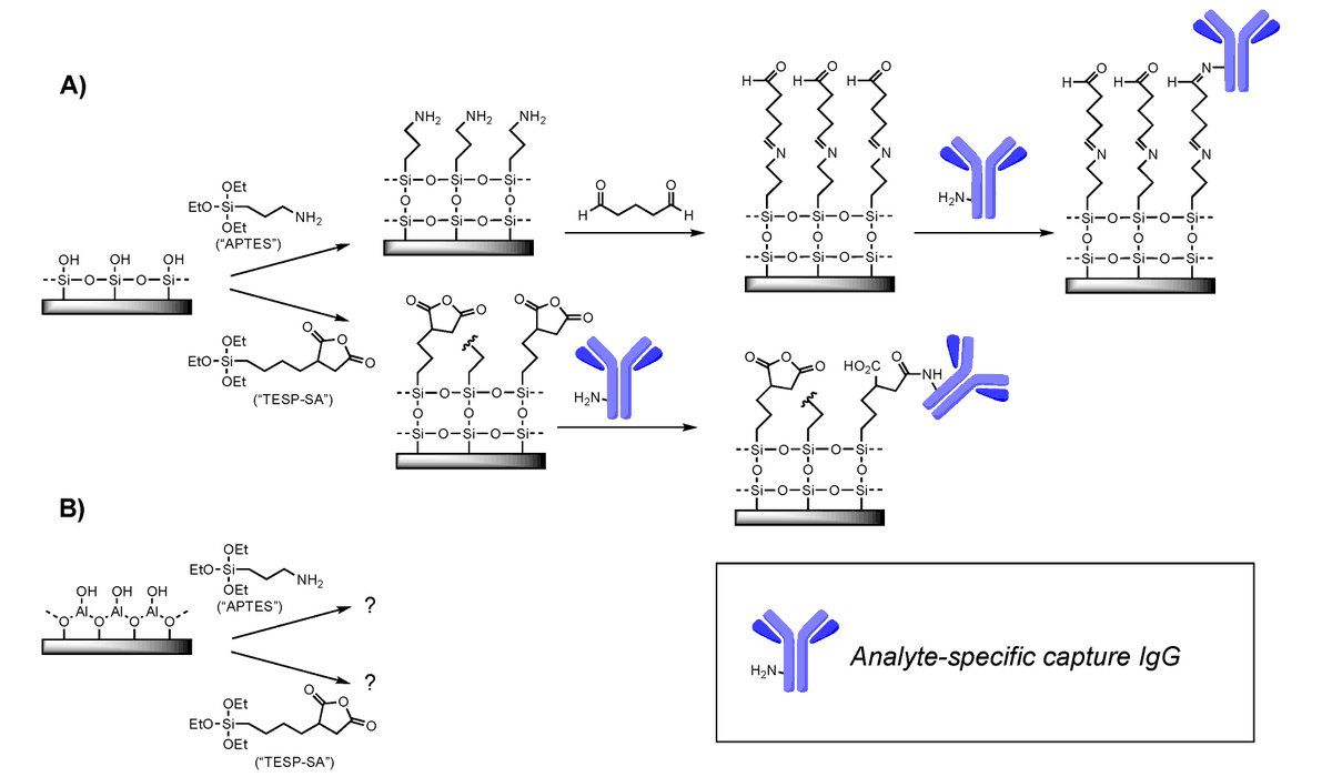 Sensors_MDPI's tweet image. #mostview 
Development of Methods for Specific Capture of Biological Targets on Aluminum Substrates: Application to Bacillus subtilis Spore Detection as a Model for Anthrax
mdpi.com/1424-8220/22/9…
#Silanes #SurfaceFunctionalization #Anthrax #Alumina