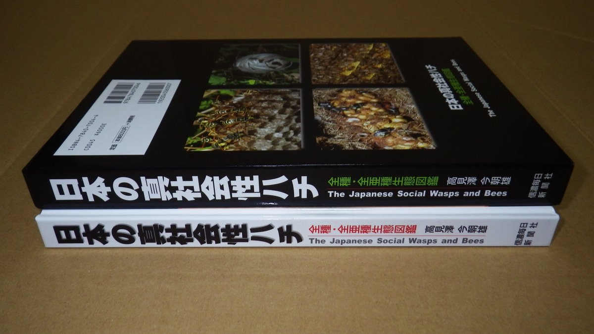 図説社会性カリバチの生態と進化