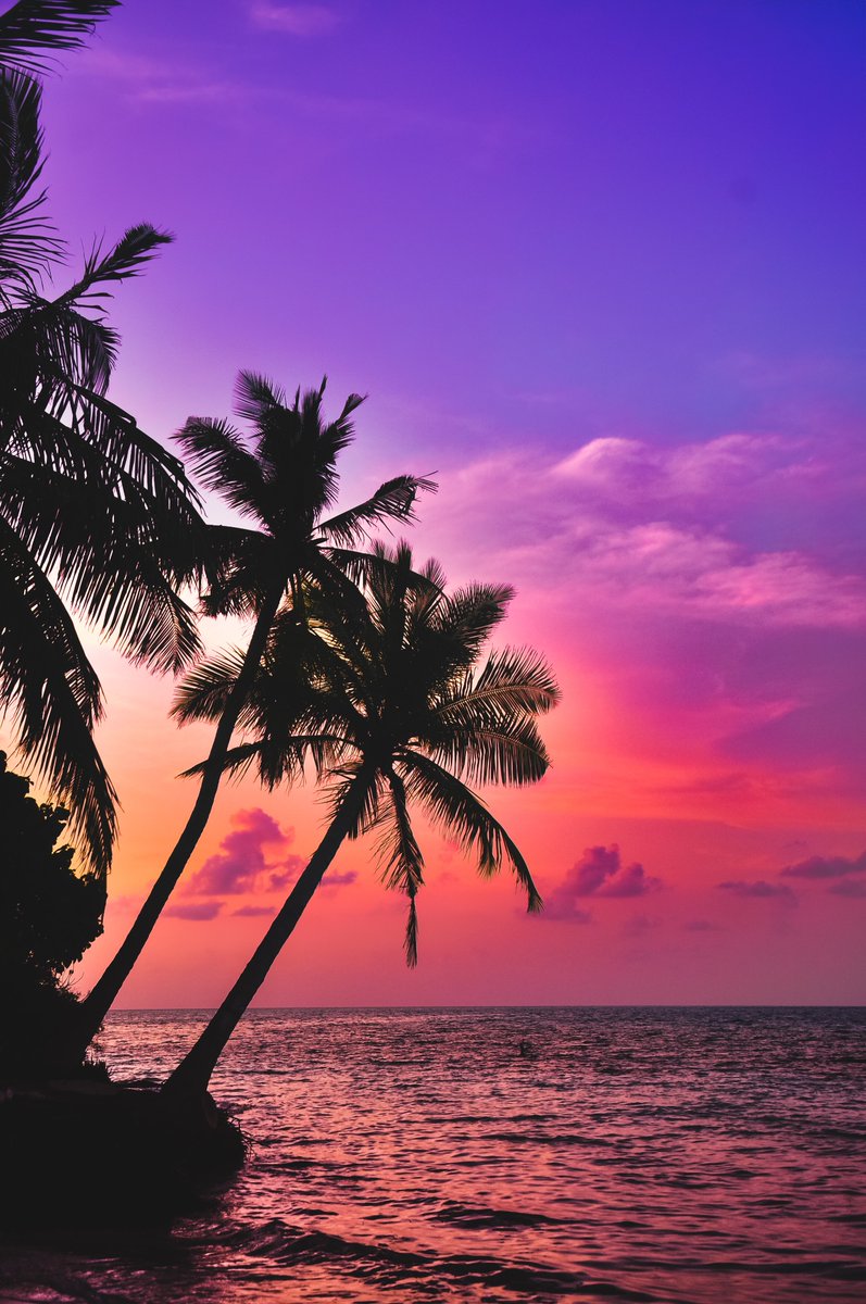 pictures's tweet photo. Maldives https://t.co/fcVVEn1Z4F