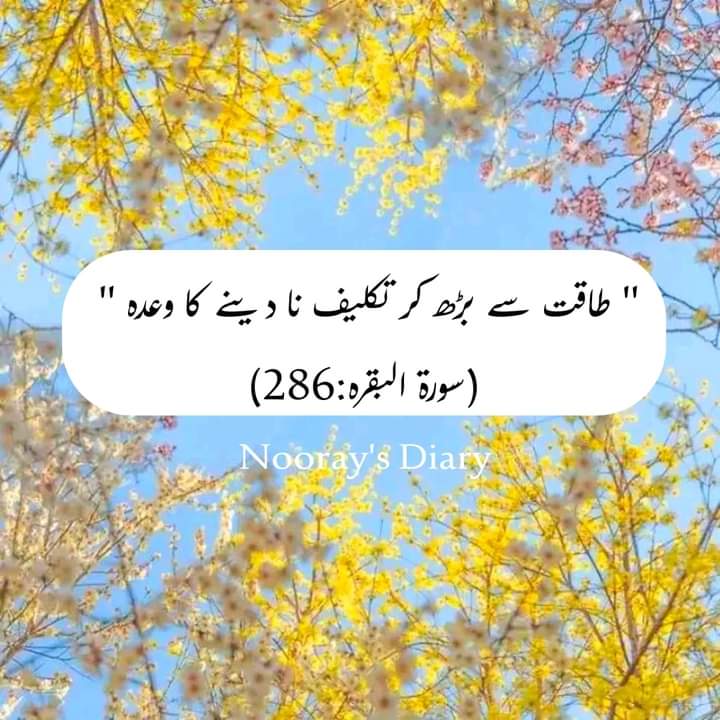 6160Rana's tweet photo. اللہ کے وعدے سچے ہیں، ہم بس انتظار نہیں کرتے💜 https://t.co/UlY1Je1vn6