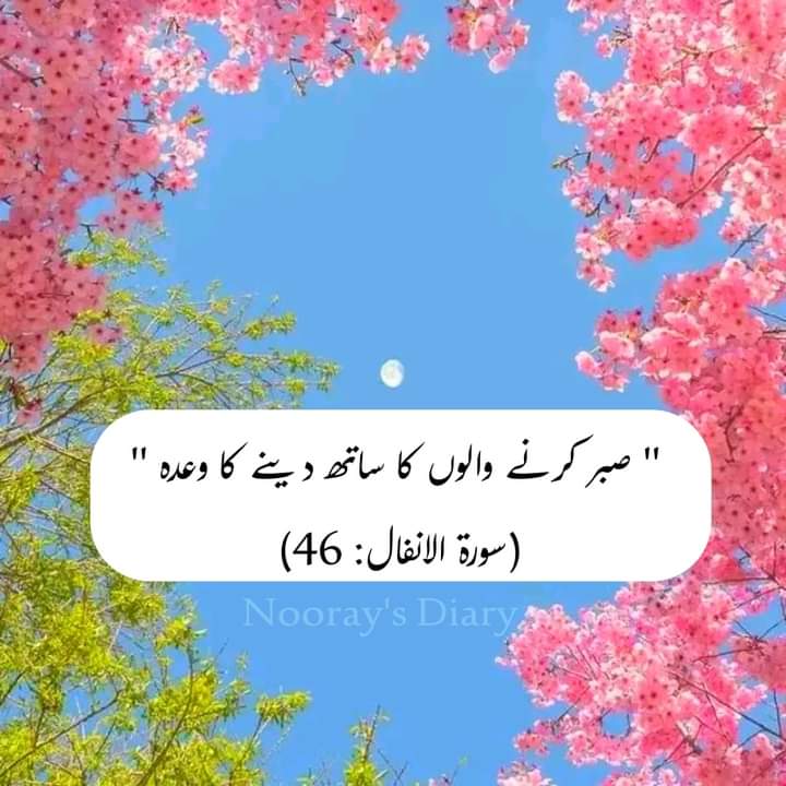 6160Rana's tweet photo. اللہ کے وعدے سچے ہیں، ہم بس انتظار نہیں کرتے💜 https://t.co/UlY1Je1vn6
