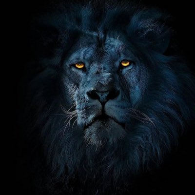 on_line___'s tweet photo. #NewProfilePic https://t.co/eUZpUfQMtl