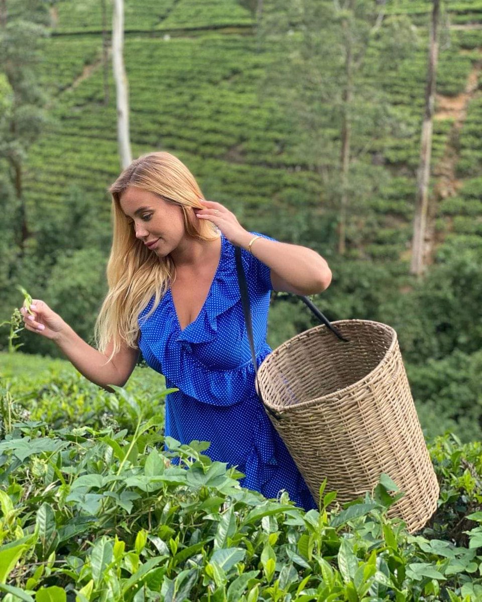 Sri Lanka ❤️ #VisitSriLanka #traveler #traveling #Traveller #traveling #Photographie #Ukraine #PhotoChallenge2023July #vacation #Canada #japanese #England #Australian #wildlifephotography #wildlifephotography #love #wildflowers #animal #Africa #Kenya #Jaguars #Tigres  #ParTYtime