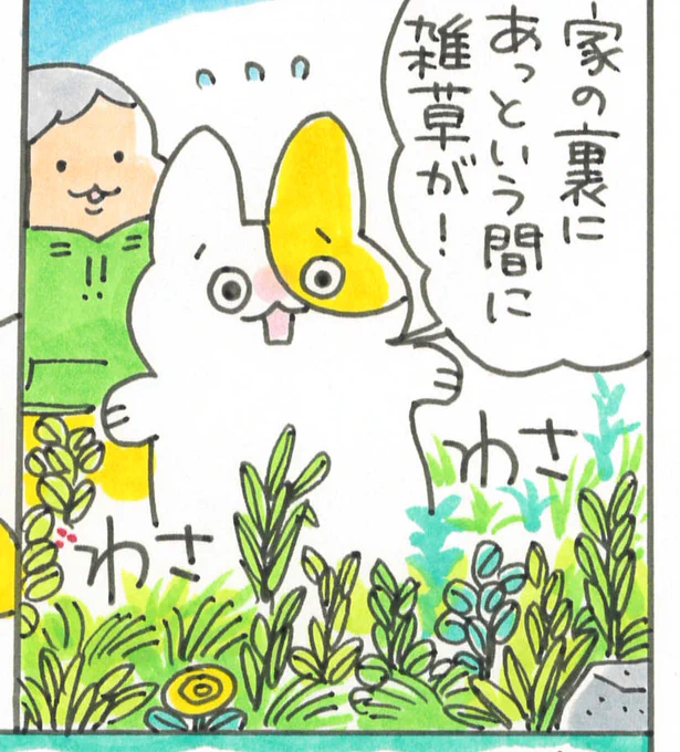 本日のデーリー東北新聞ヤングポスト内にて、ポプ担の本紹介漫画「あの本この本読んでやぁんせ」が掲載されています今回は身近な雑草観察がとっても楽しくなる一冊を紹介!どうぞよろしくお願いします 