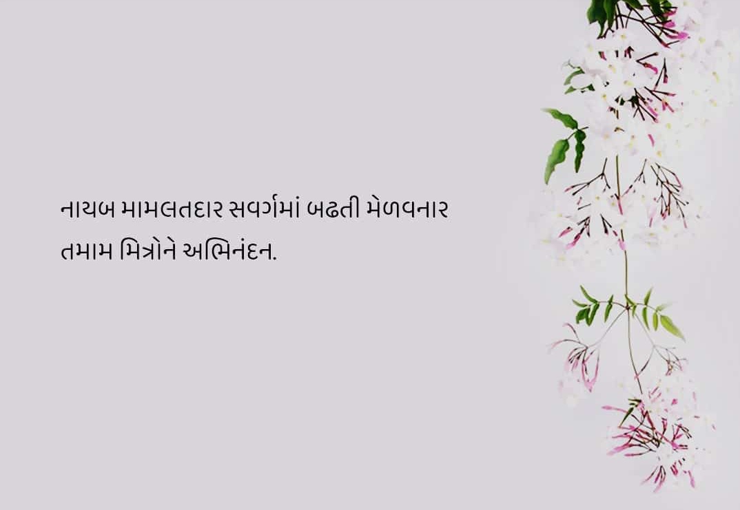 નાયબ મામલતદાર સવર્ગમાં  બઢતી મેળવનાર રે.તલાટી તથા રે.ક્લાર્ક મિત્રોને ખૂબ ખૂબ અભિનંદન સહ....શુભેચ્છાઓ..🎉🎊
<a href="/ArtBanaskantha/">Association of Revenue Talati, B.k.</a> 
<a href="/GujaratTalati/">(ART) Association of Revenue Talati Gujarat State</a>