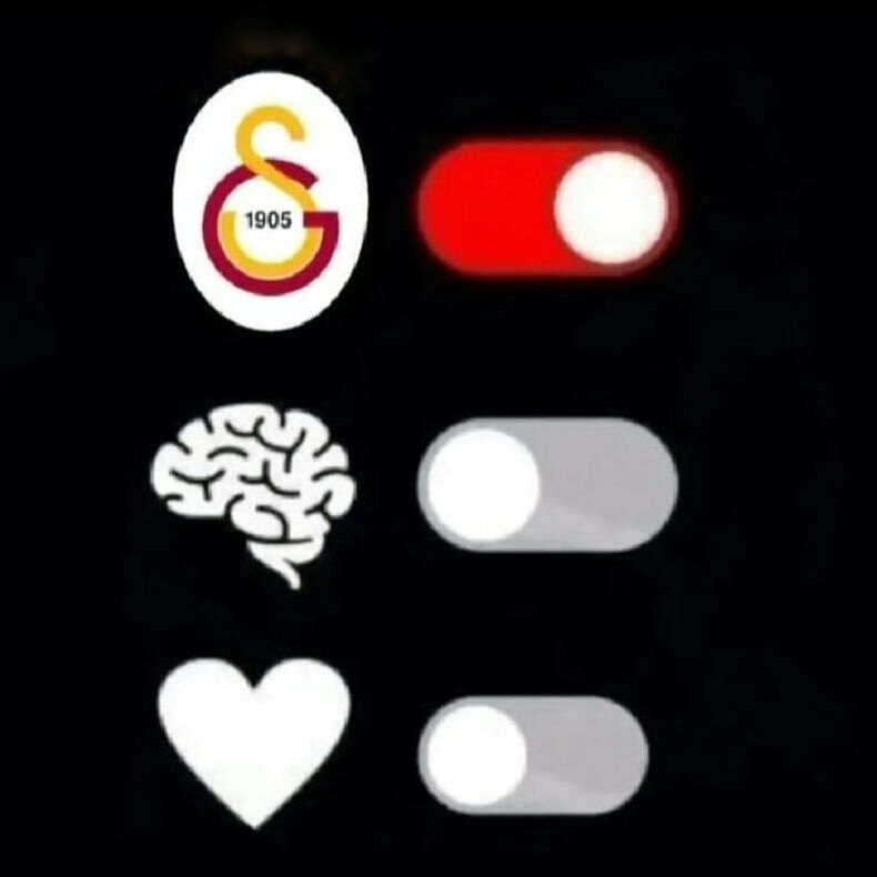 MSimsek78960's tweet photo. #GalatasaraySK 
#sarıkırmızı
#galatasaray
@GalatasaraySK 
💛❤🦁 https://t.co/gtAIMuwxh1