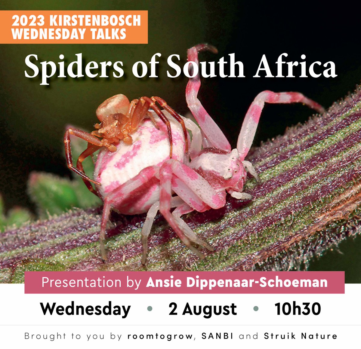KirstenboschNBG's tweet photo. Connect with us this Wednesday morning for the #KirstenboschWednesdayTalk: "Spiders of South Africa", presented by Ansie Dippenaar-Schoeman.
Date: 2 August 2023
Time: 10h30
REGISTER HERE: https://t.co/y7sRhXNgSH
#struiknature #roomtogrow #SANBI #WednesdayTalks #KirstenboschNBG https://t.co/xIhBPvh2hz