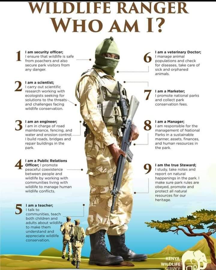 Rangers are the unsung heroes of the conservation world. On this World Ranger Day, we celebrate your courage and commitment, and renew the pledge to support your essential work.
Happy Rangers Day.