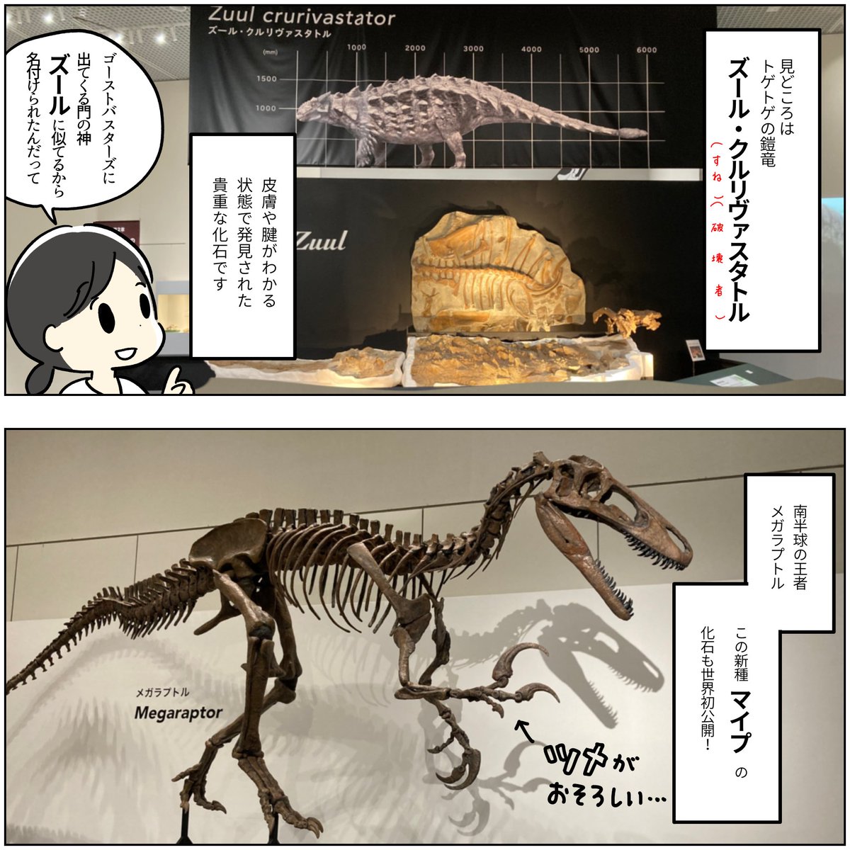 展覧会レポ漫画  🦕恐竜博2023 大阪市立自然史博物館  2023.9.24まで  ふりがなのついた子ども向け解説パネル、音声ガイド、動画解説があるのでチビッコたちにもぜひ行ってほしい!!