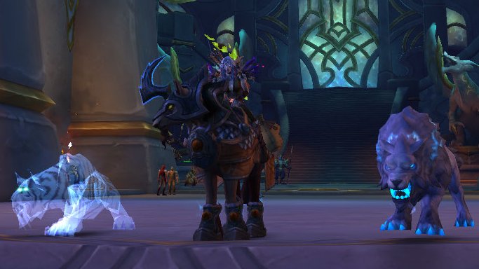 HunterKortinas's tweet photo. #Worldofwarcraft #Warcraft #Mountcollecting  #Number452 #Pvp #level70 #Honor #Prestigousazurecourser https://t.co/3MA7jdOhzK