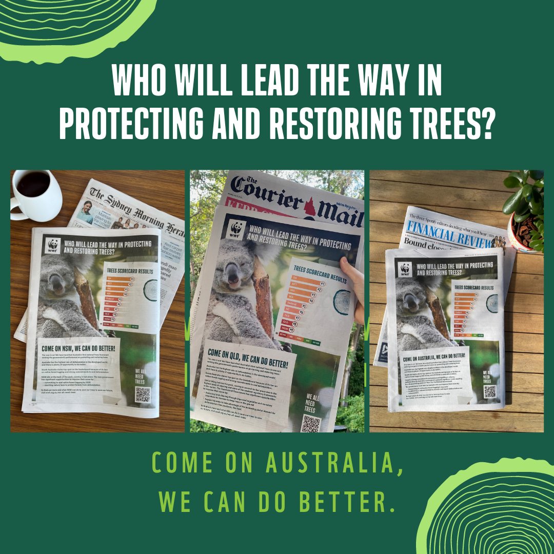 WWF_Australia's tweet photo. Did you see our Trees Scorecard in the @SMH @CourierMail and @FinancialReview today?
We all need trees. We can become a #reforestation nation and a leader in protecting and restoring trees by working together.
#WeAllNeedTrees #TreesScorecard #deforestation #nature https://t.co/kYOlQjcmxs