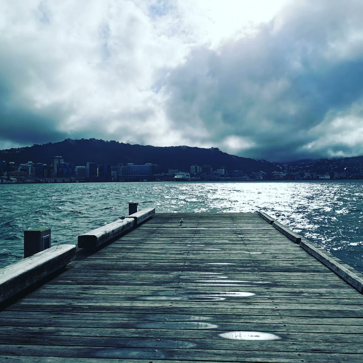 Jonsully72's tweet photo. Wellington today, had a couple of hours while out on a job, #nowwalking #wellington #NewZealand https://t.co/eXQrta8Flq