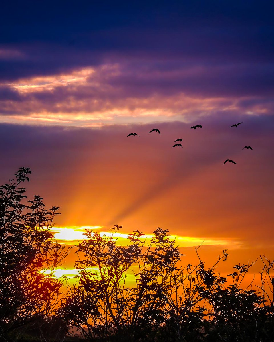 jamesatruett's tweet photo. Good GREAT Monday Morning! 

Let's close out July on a high note and welcome August with the determination and intention to make it a fantastic month! https://t.co/elmw4aOuts